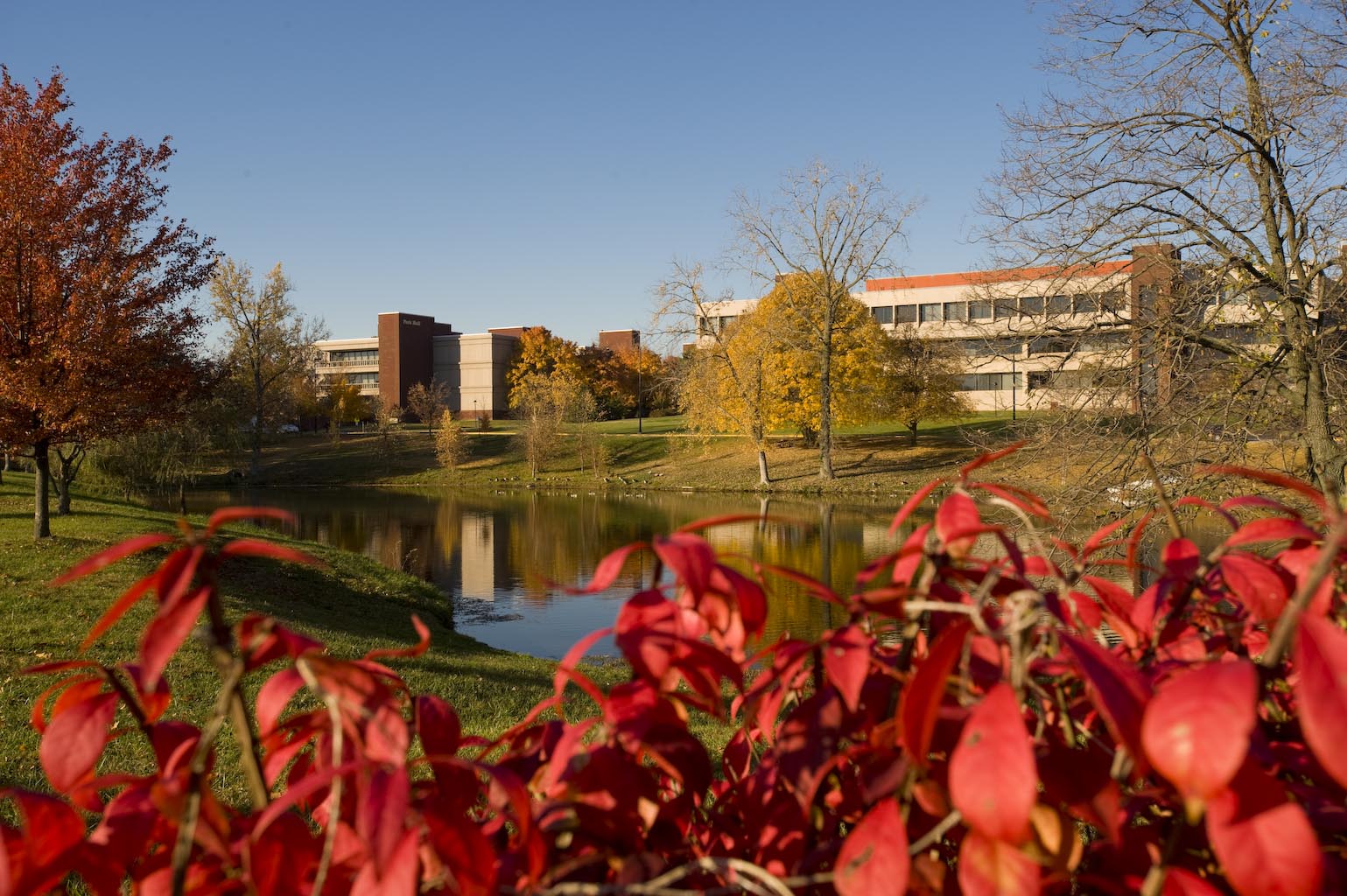 southern illinois university edwardsville visit