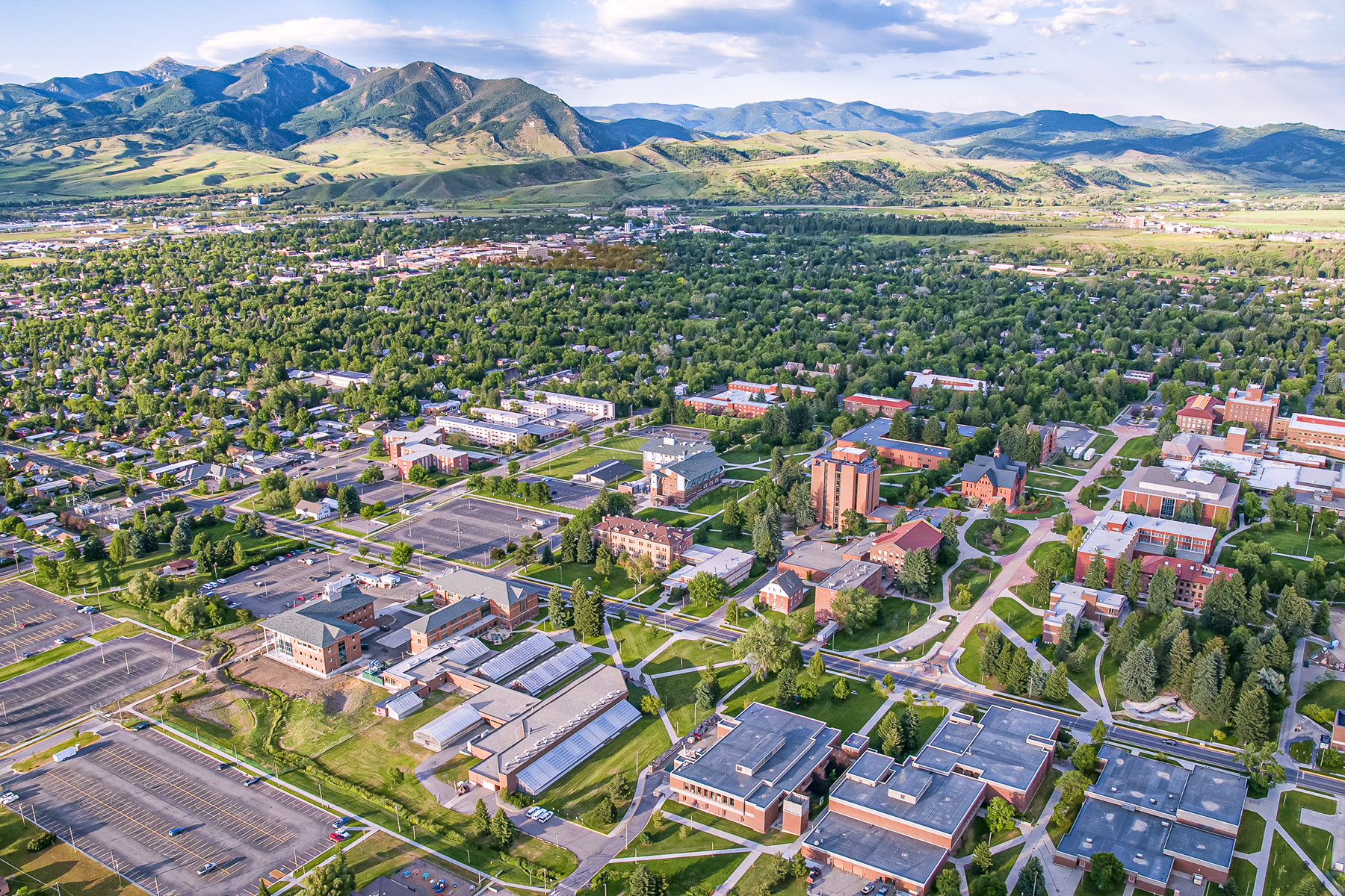 Montana State University.