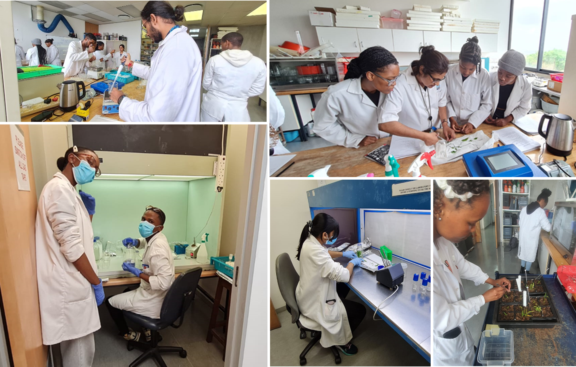 Bridging Academia and Practice: Empowering Students through Work ...