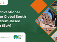 Catalyzing Unconventional Collaborations in the Global South for Urban Ecosystem-Based Adaptation (EbA)