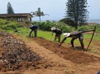 Greening Quarry Road and Pholani Informal Settlement: EPIC African in Action