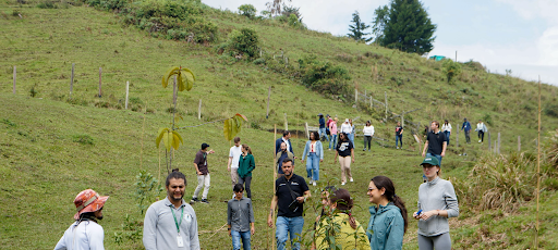 Students and Local Leaders Work to Restore Social Ecosystems in Colombia